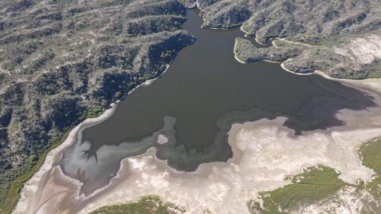 WhatsApp Image 2024-10-18 at 09.22.32