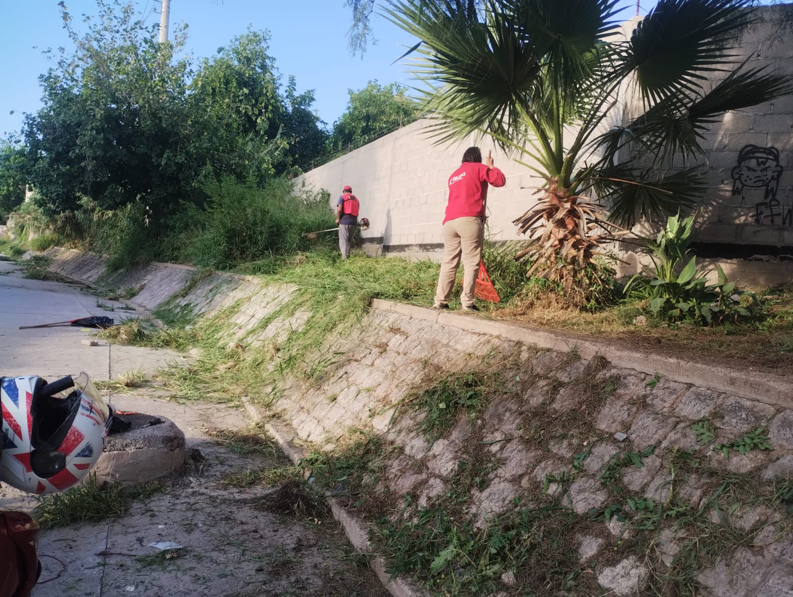 WhatsApp Image 2025-01-10 at 08.49.31