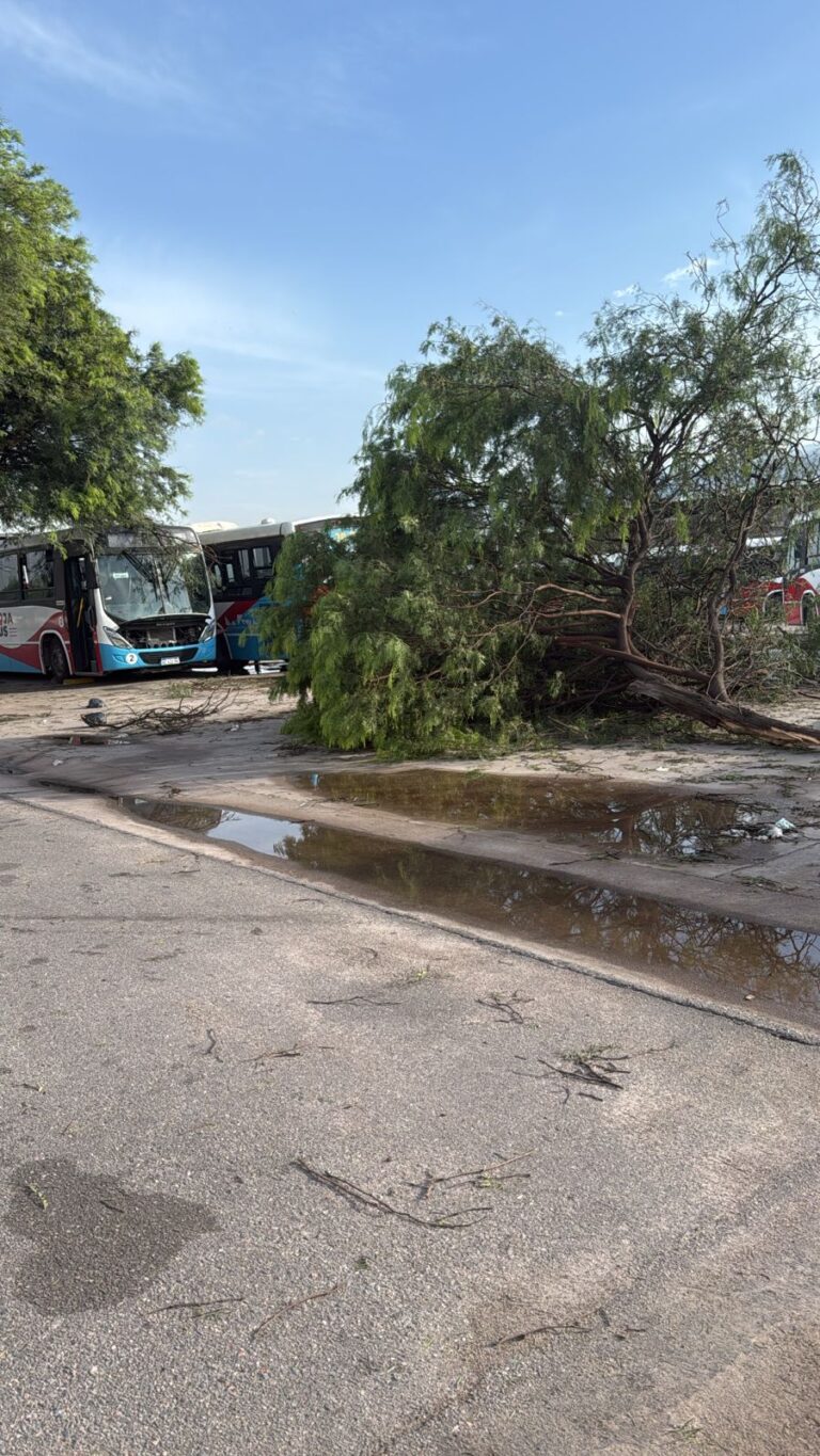 WhatsApp Image 2025-02-25 at 10.02.36