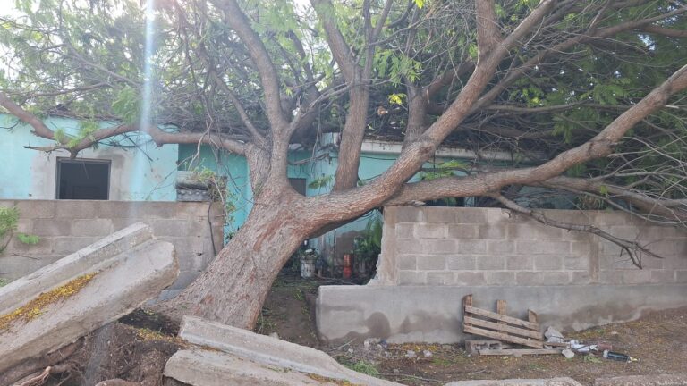 WhatsApp Image 2025-02-25 at 10.08.53