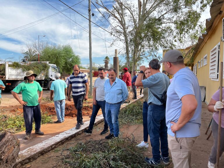 WhatsApp Image 2025-02-25 at 11.19.18