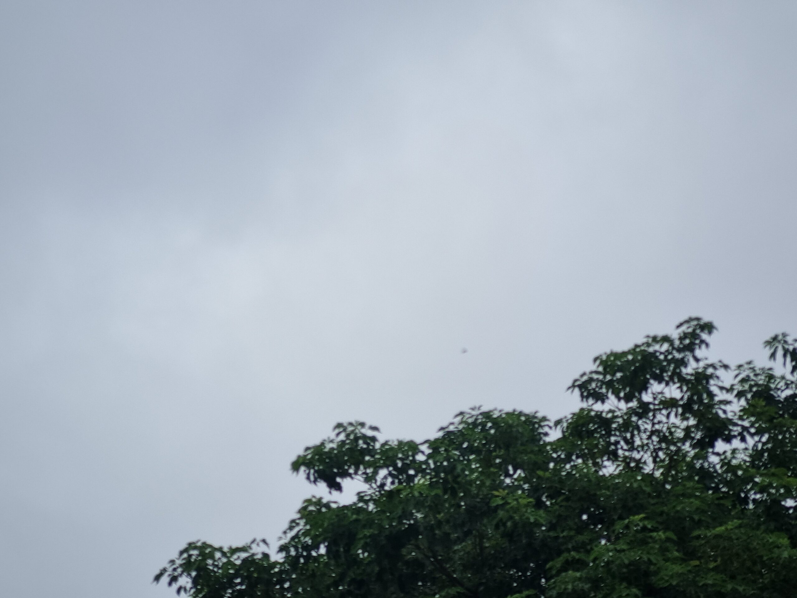 1001679060