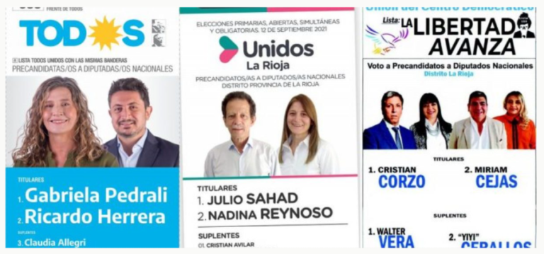 FireShot Capture 1347 - UNA POR UNA, LAS NUEVE LISTAS CON PRECANDIDATOS A DIPUTADO_A NACIO_ - [riojavirtual.com.ar]