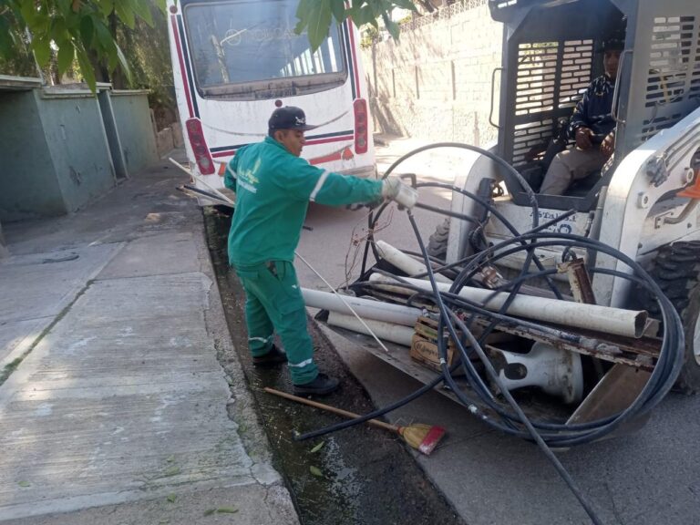 WhatsApp Image 2025-04-04 at 08.47.31