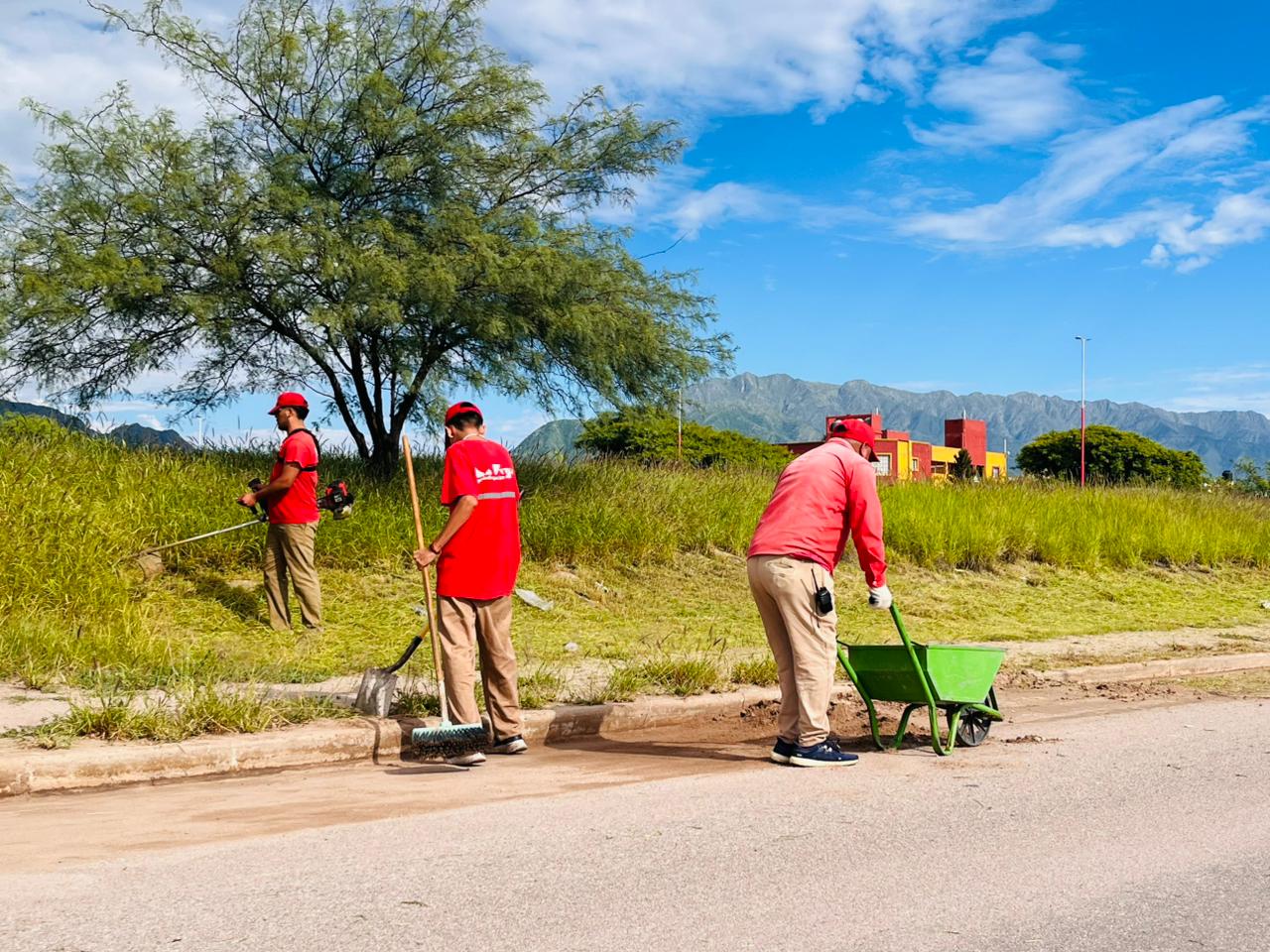 WhatsApp Image 2026-02-03 at 16.19.23 (3)