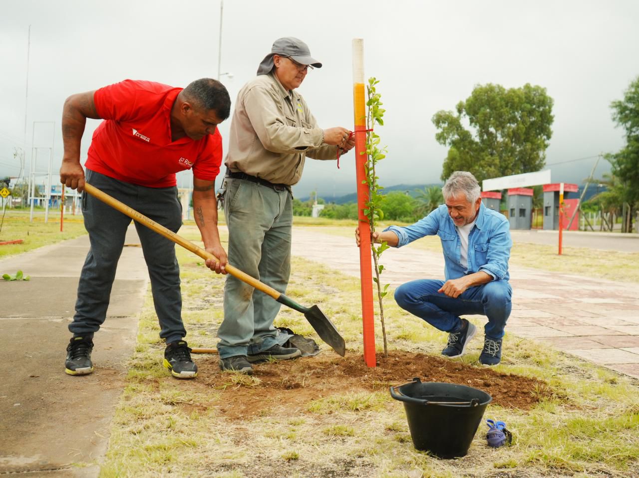 WhatsApp Image 2026-02-07 at 09.21.32