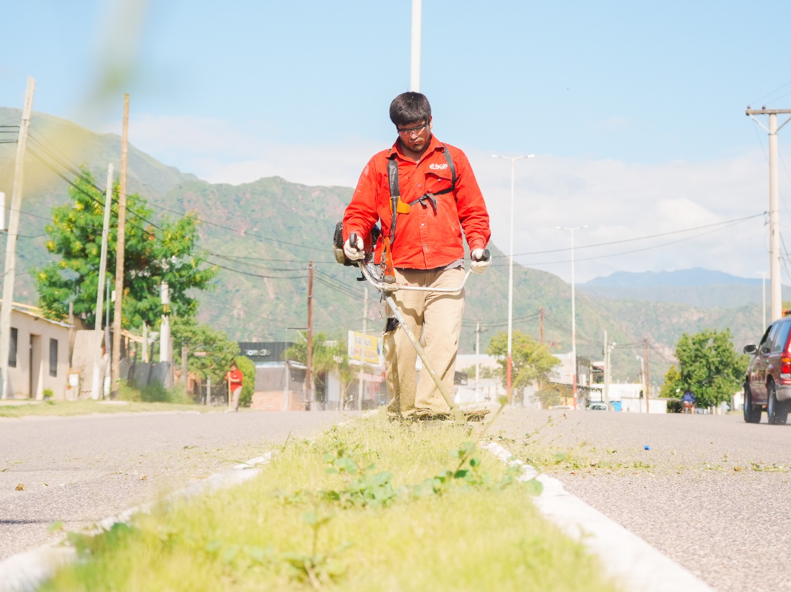 WhatsApp Image 2026-02-11 at 11.56.14