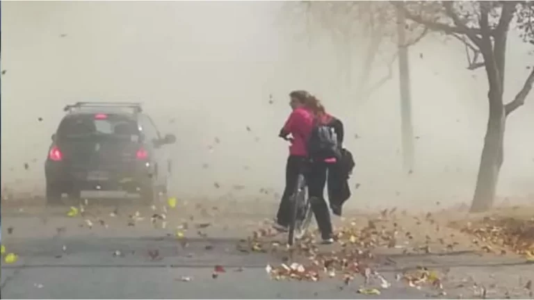 viento-zondajpg