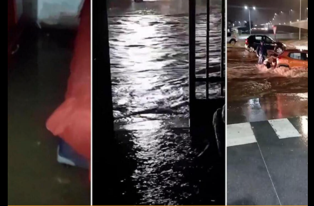 Captura de pantalla 2026-03-06 103204