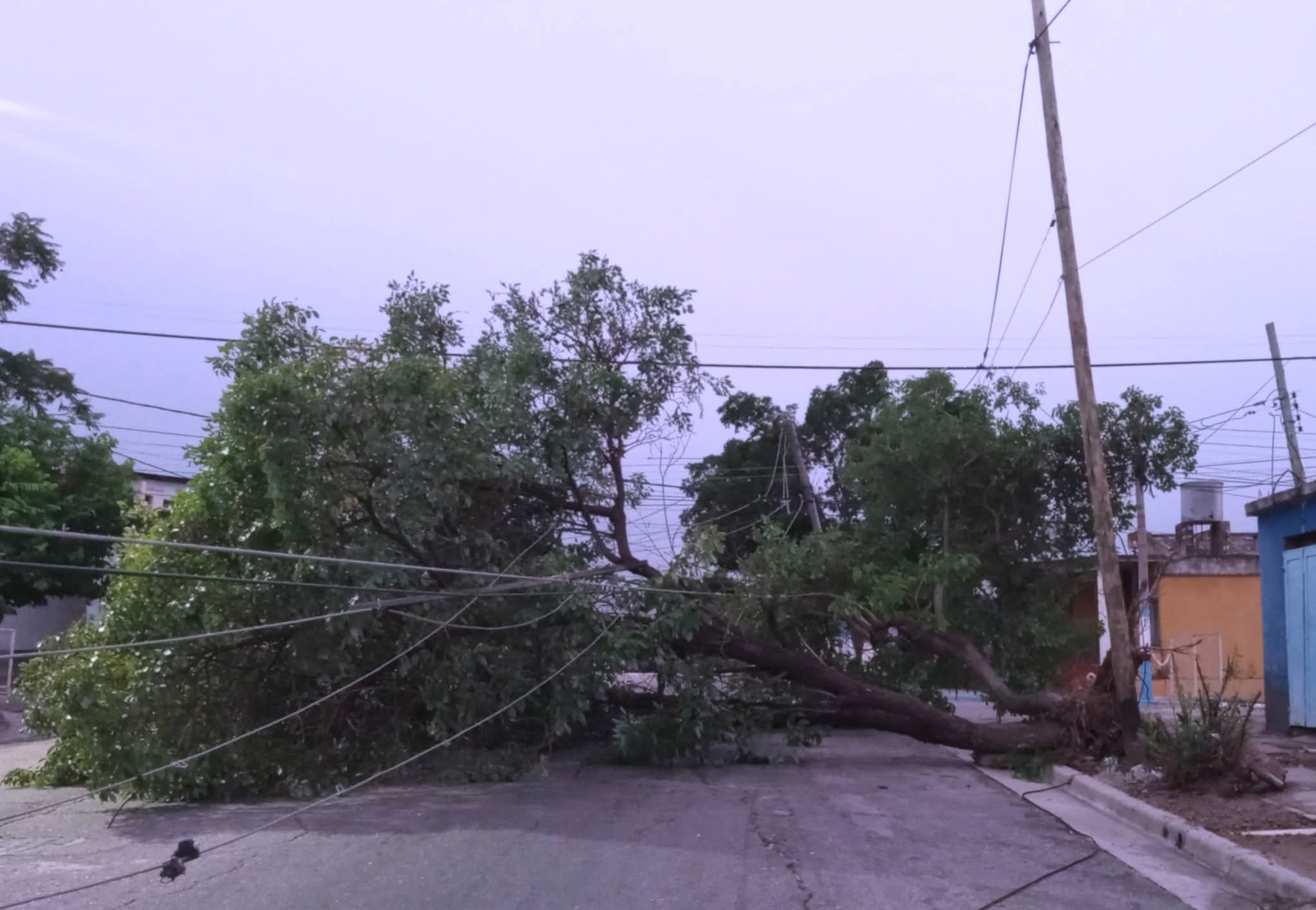 WhatsApp Image 2026-03-18 at 08.18.20