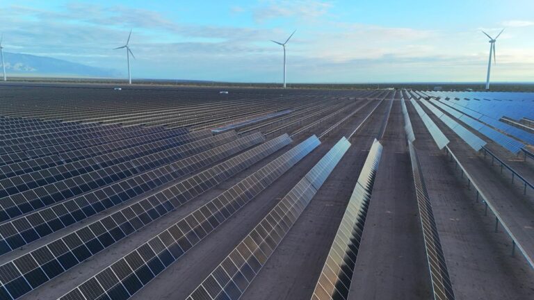 WhatsApp Image 2026-04-13 at 18.24.55