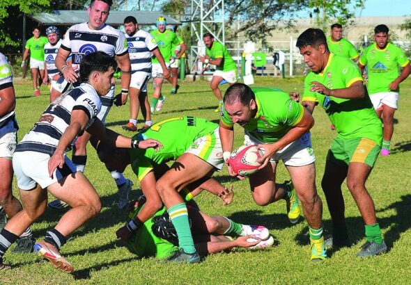 WhatsApp Image 2026-04-16 at 19.03.45