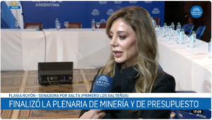 Royón defendió una reforma consensuada de la Ley de Biocombustibles y propuso ampliar el esquema hacia nuevas bioenergías