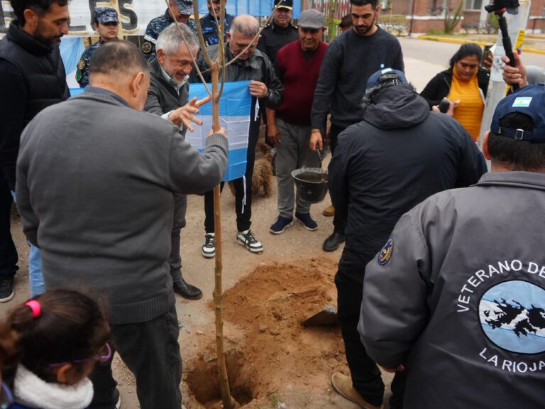WhatsApp Image 2026-06-11 at 19.41.33 (1)