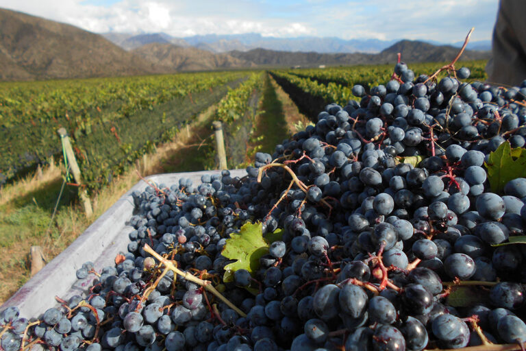 web-Chanarmuyo-Gentileza-Turismo-La-rioja