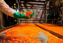 Unilever cierra su planta deshidratadora de vegetales en Mendoza: 60 despidos y el fin de seis décadas de producción para Knorr